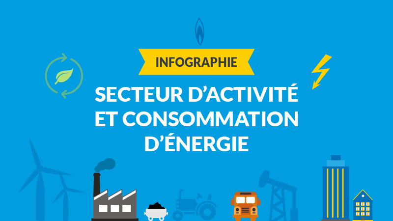 consommation énergétique par secteur d'activité en France